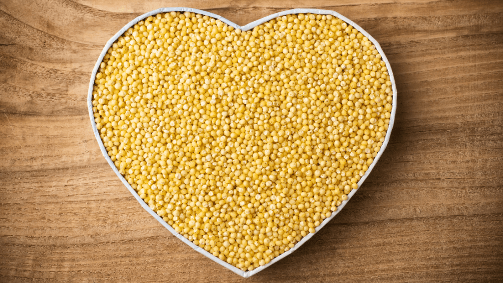 Blueberry breakfast millet, a nourishing whole-food recipe shared by a holistic chiropractor in Marietta GA focused on gut health and wellness.