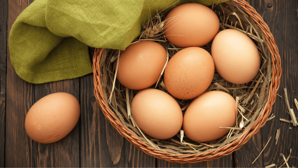 Mexican style omelet, a nourishing whole-food breakfast recipe shared by a holistic chiropractor in Marietta GA focused on gut health and wellness.