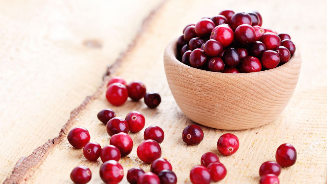 Cranberry-Macadamia Protein Bites
