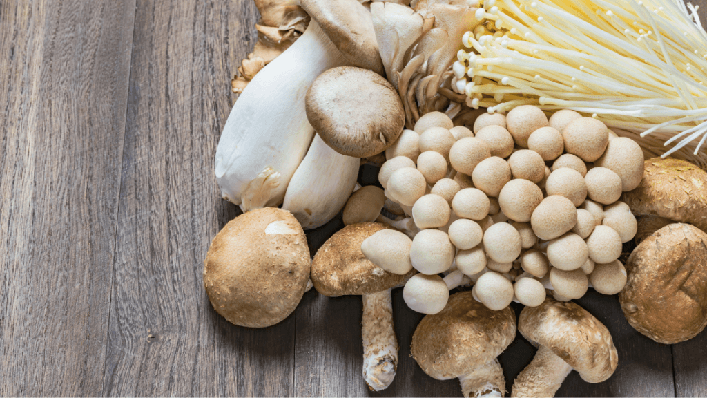 Chiropractor in Marietta GA providing holistic chiropractic care, functional medicine and peptide therapy