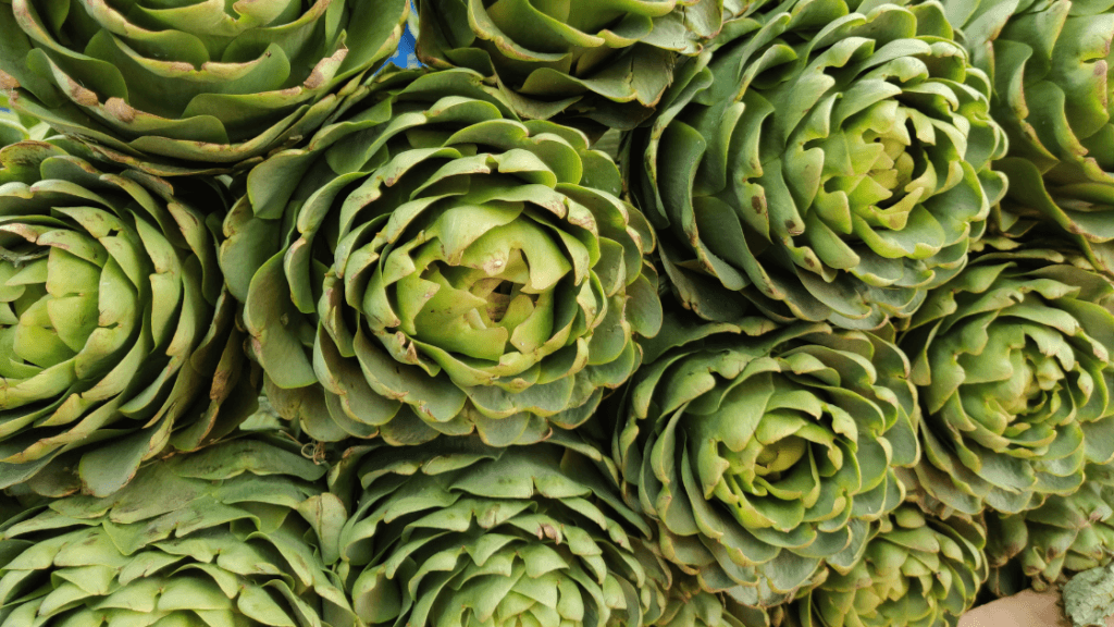 Artichokes supporting gut health and detox pathways in functional medicine