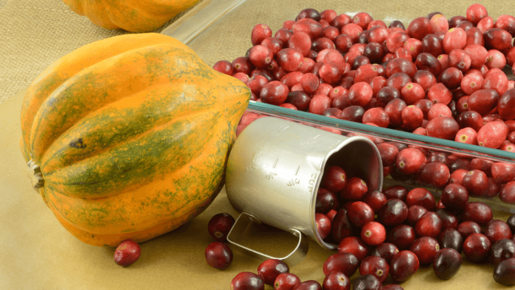 Honey roasted butternut squash with cranberries, feta, and pistachios as a whole food recipe supporting gut health